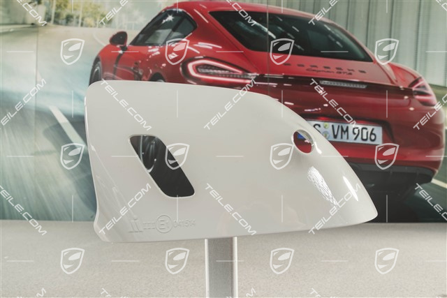 Osłona dolna lusterka, czarna / elektrycznie składane, Kamera, L