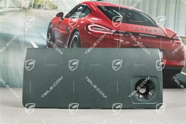 Pokrywa schowka na rękawiczki, Skóra, Cedar green