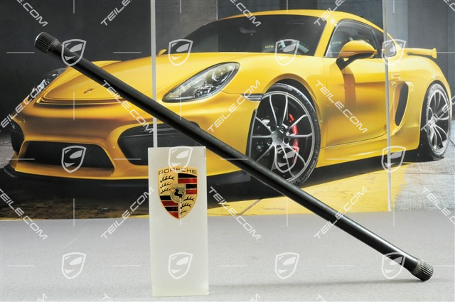 Federstab, R Federstab, R