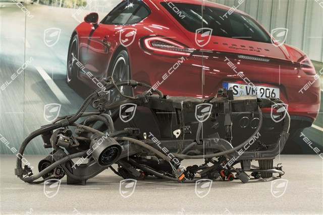 Facelift 3,8L, Wiązka instalacji elektrycznej silnika