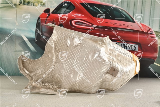 Heat protection / shield, lateral, C2 / C4 / GTS, L