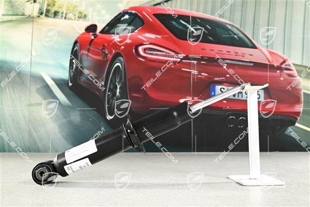 Stossdämpfer / Schwingungsdämpfer, HA, V6 3.6L 206kW, L