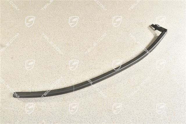 Türdichtung, vertikal, hinten, L