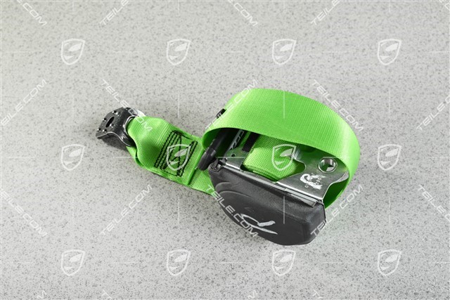 Cabrio / Targa, Sicherheitsgurt, Lizardgrün, R