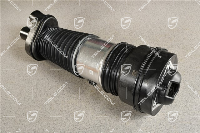 Stossdämpfer / Schwingungsdämpfer, Luftfederung, VA, PASM, L