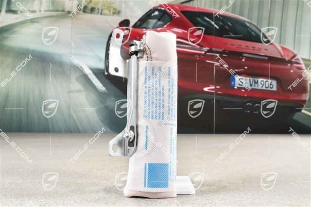 Side Airbag unit, Rear, L