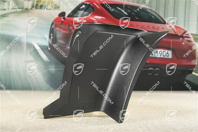 Heckleuchte Abdeckung, aussen, USA, L