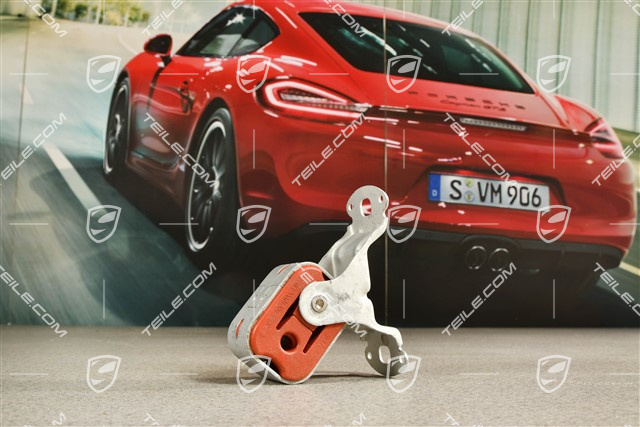 Bracket / support - rear exhaust muffler, L=R