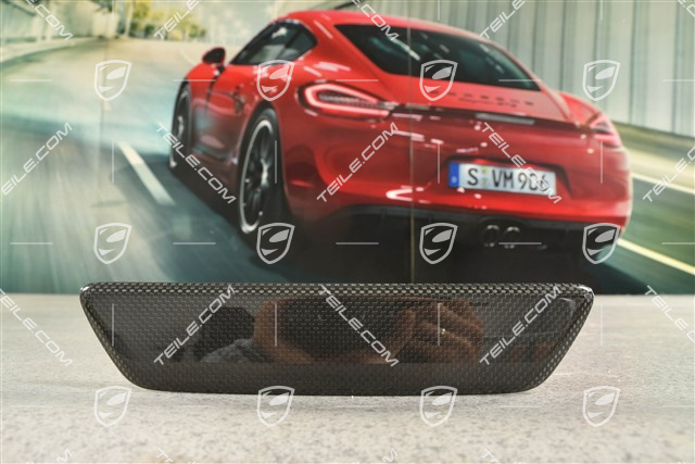 Coupe, Schwellerleiste / Einstiegleiste - Blende , hinten, Carbon, L=R