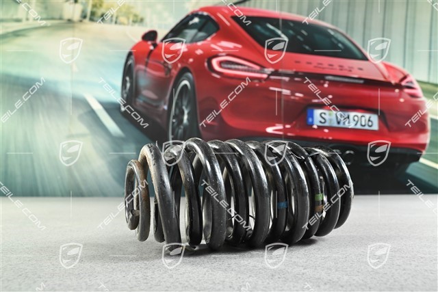 Turbo, Schraubenfeder, HA, PASM / PDCC, Kennzeichnung Braun Gelb/Grün, Satz, L+R