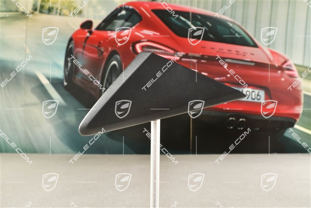 Abdeckung, Fensterfuehrung, Schwarzmatt, L