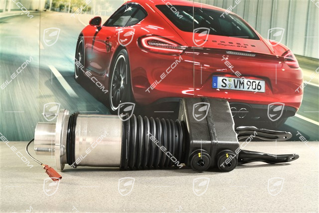 Stossdämpfer / Schwingungsdämpfer, Luftfederung, VA, PASM, L