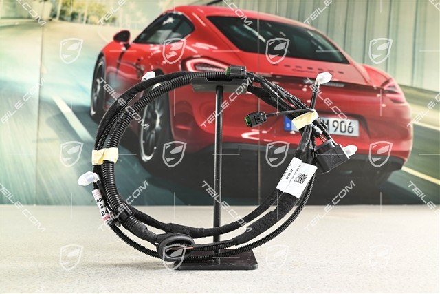 Wiring harness for heated windscreen washer noozle with hose