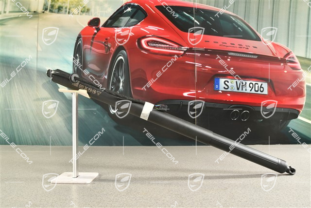 Stellelement, Dämpfer elektrisch, Servoschliesselung Heckklappe, Sport Turismo, L=R
