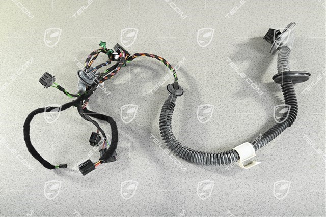 Wiązka elektryczna, drzwi tylne, Bose, L=R