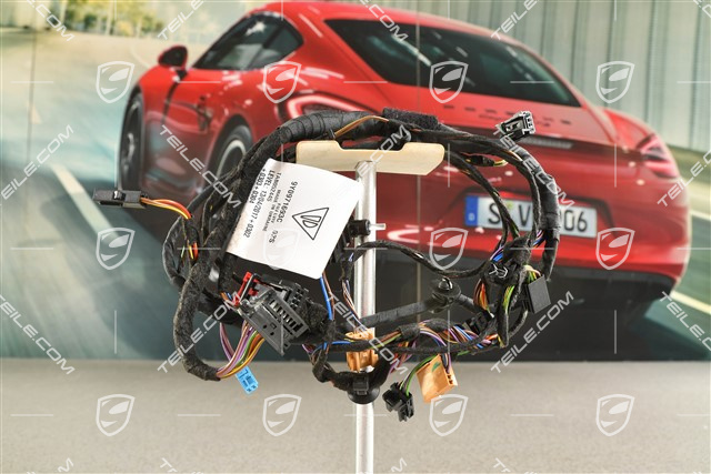 Kabelstrang Hintertür, soundpaket Burmester, L=R