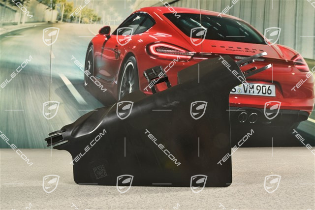 Querlenker Steinschlagschutz, R