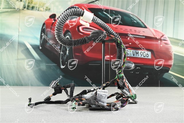 Wiązka elektryczna, drzwi tylne, Bose, L=R