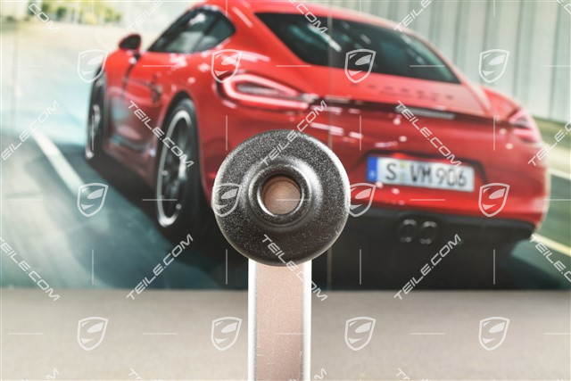 Rosette für Windschott