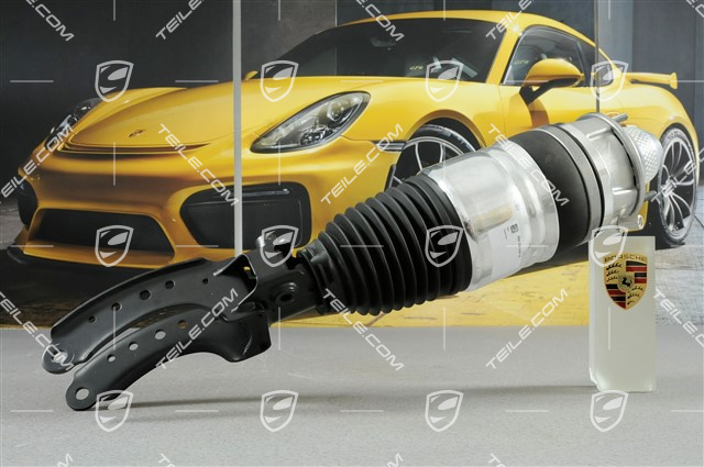 Federbein komplett / Luftfeder Dämpferbein, Diesel / V6 Turbo / V6 Bi-Turbo, L Federbein komplett / Luftfeder Dämpferbein, Diesel / V6 Turbo / V6 Bi-Turbo, L