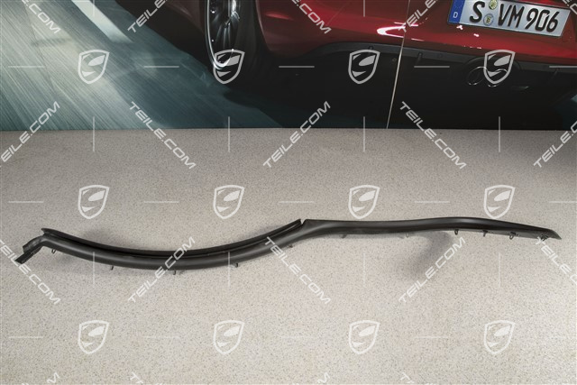 Türdichtung / C-Säule dichtung, L