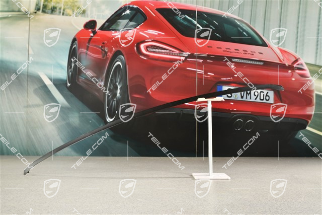 Befestigungsschiene für Heckspoiler Gummibalg Rückwand, unten