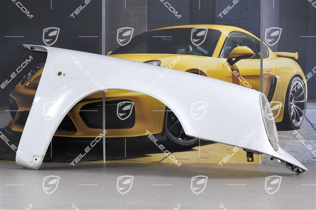 Błotnik, R Błotnik, R