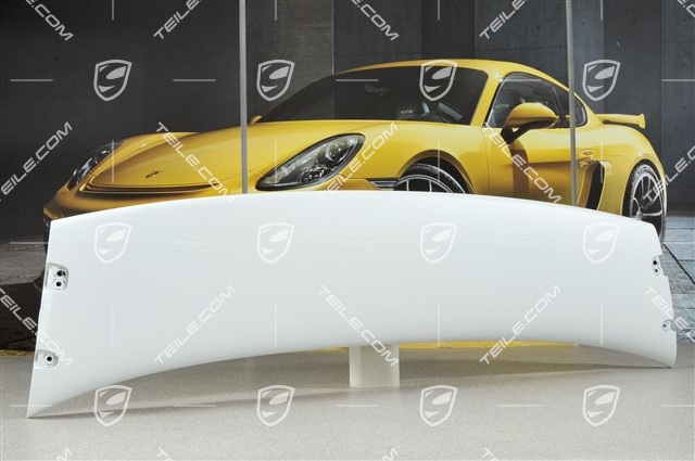 GT3 Rear spoiler / wing, upper part