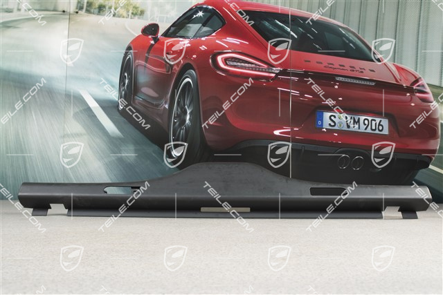 Halteleiste Sicherung Gepäck, schwarz