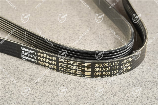 Poly rip belt, Spyder