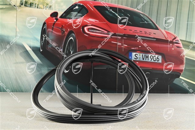 Türdichtung, Vorne, innen, L=R