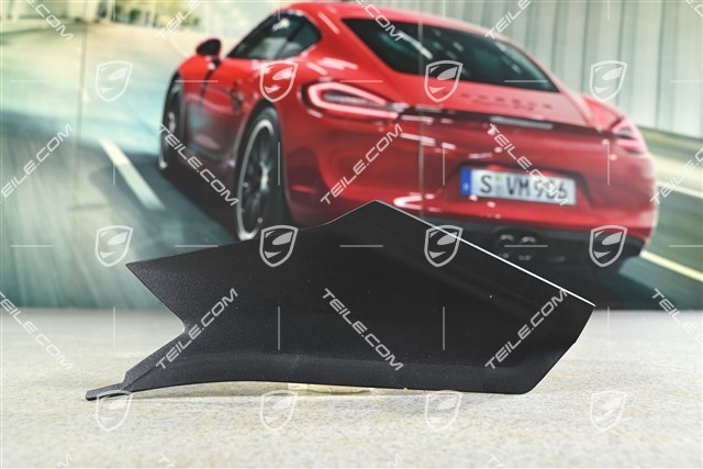 Obudowa / blenda lampy tylnej, R