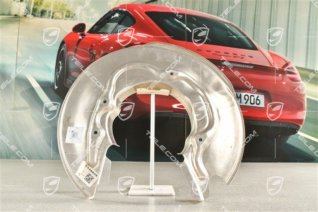 Tarcza kotwiczna / osłona tarczy hamulcowej tylnej, R