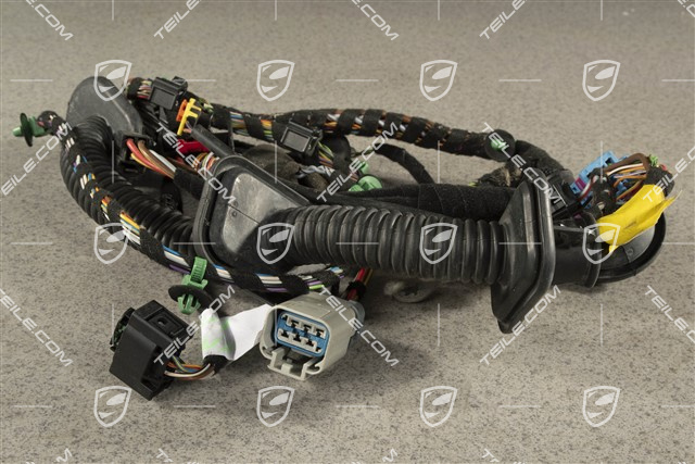 Wiązka instalacji elektrycznej drzwi pasażera, Bose, R