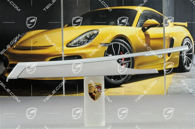 Listwa dekoracyjna tapicerki tylnych drzwi, szczotkowane aluminium, R Listwa dekoracyjna tapicerki tylnych drzwi, szczotkowane aluminium, R