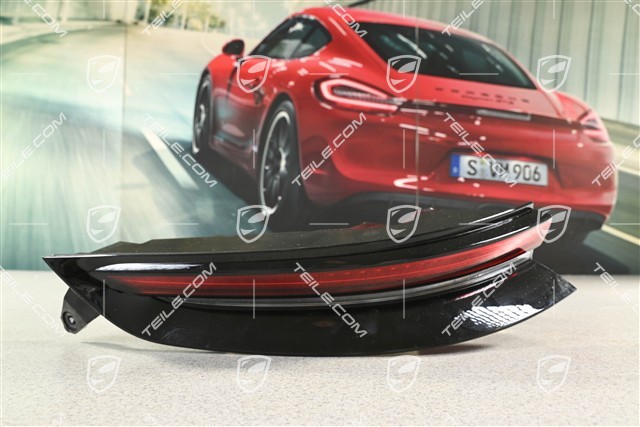 Rear light, L
