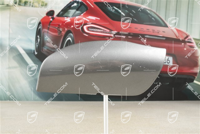 Zaślepka haka holowniczego, R