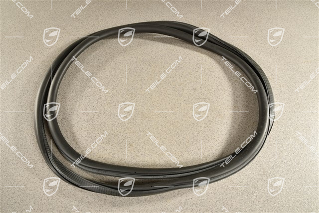 Hintertür, Tuerdichtung / Türdichtung, Aussen, L=R