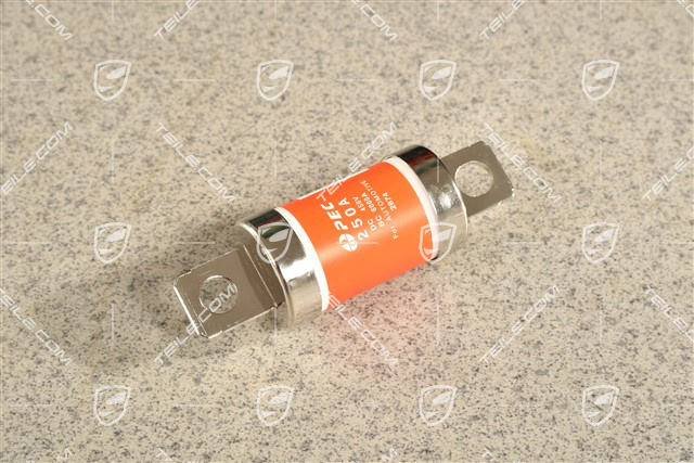 Sicherung 250A