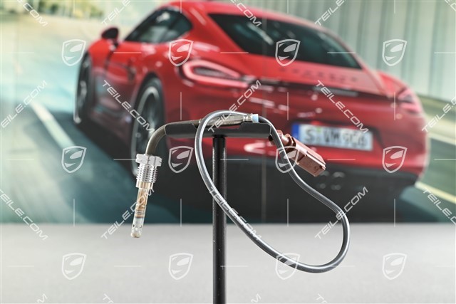 3,0 TDI, Exhaust gas temperature sensor