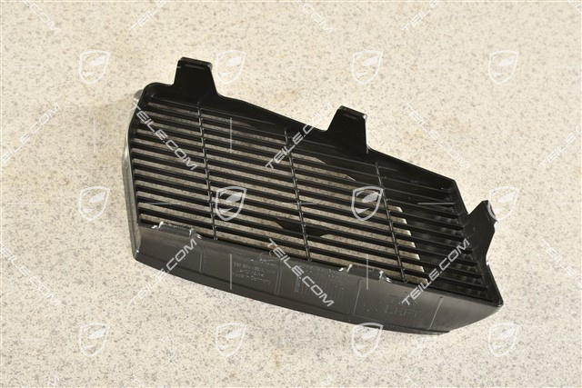 Air inlet protective grille, L