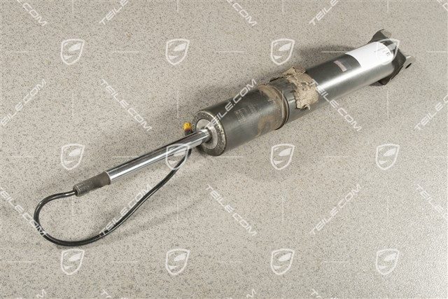 Stoßdämpfer, Targa, Targa S, PASM (elektr. Regelung), L=R