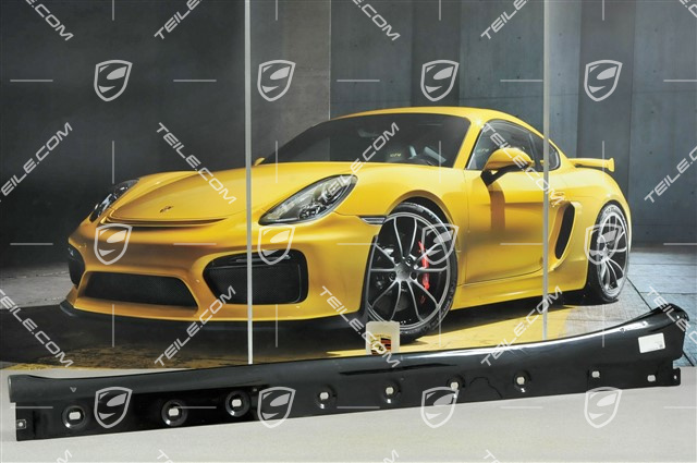 Osłona progu, C4/C4S/GT3/911R, lakierowana, L