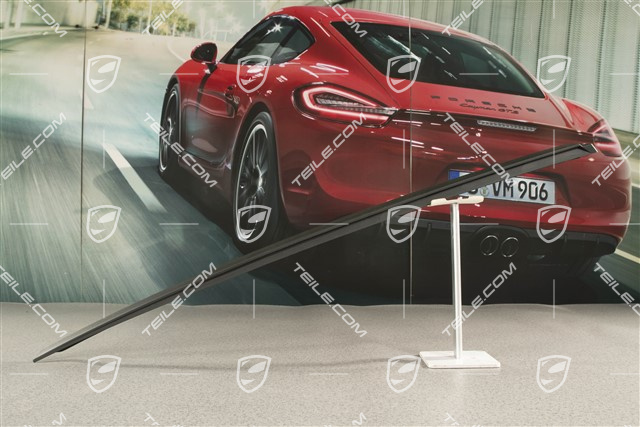 Wasserfangleiste, Schwarz-matt, L