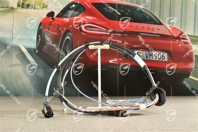 Wiązka instalacji elektrycznej ABS i czujnik zużycia klocków hamulcowych, tył, R