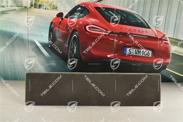 Targa, Verkleidung, Rückwand, Teppich, Achatgrau