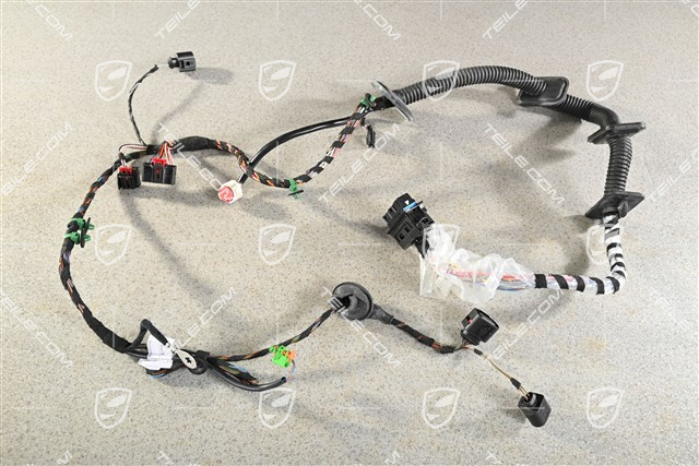 Wiring harness, Assembly frame, passenger's door, R