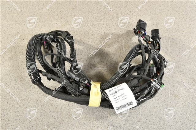 Wiring harness, PDC / Real Top View