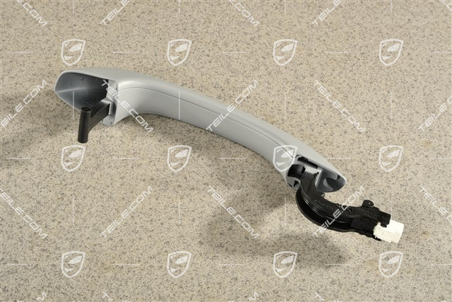 Türgriff, V=H, Entry+Drive, R