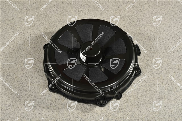 Tür, Tiefton-Lautsprecher, Bose